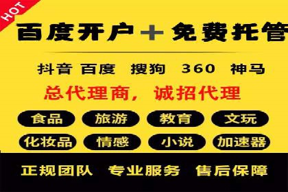 某电商平台的SEM推广策略——代运营公司的实践